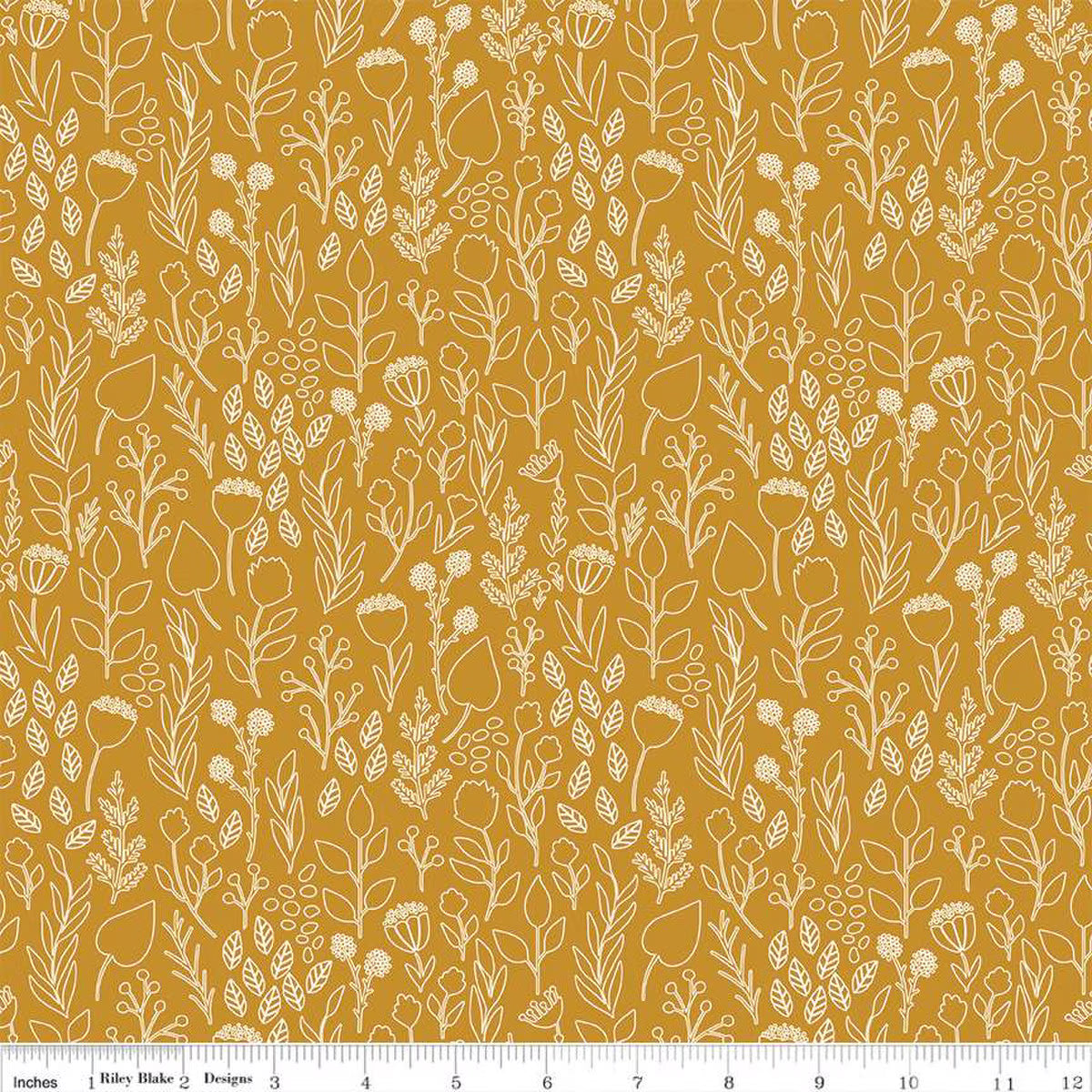 "Blush 'n Butterscotch Outlines Butterscotch"-RBD