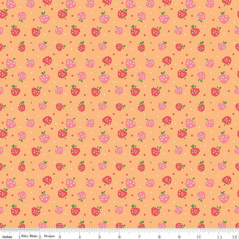 Raspberry Stitches