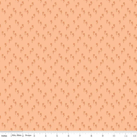 "Wanderlust Jasmine Apricot"-RBD